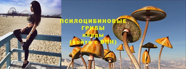 mdpv Алзамай